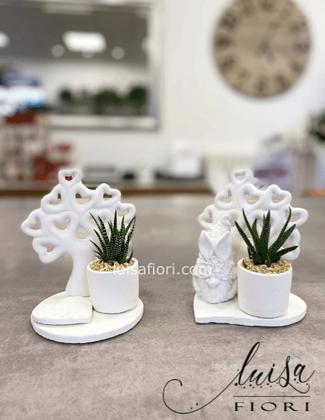 Albero della vita con pianta grassa